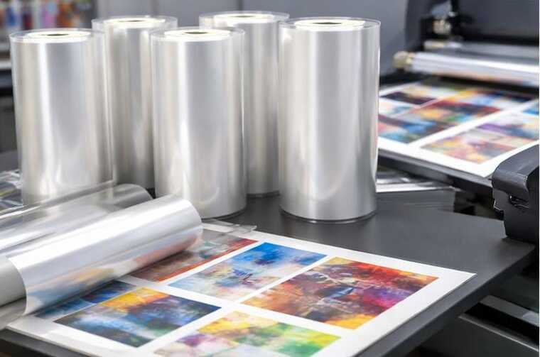 whatsapp image 2026 01 26 at 5.43.30 am